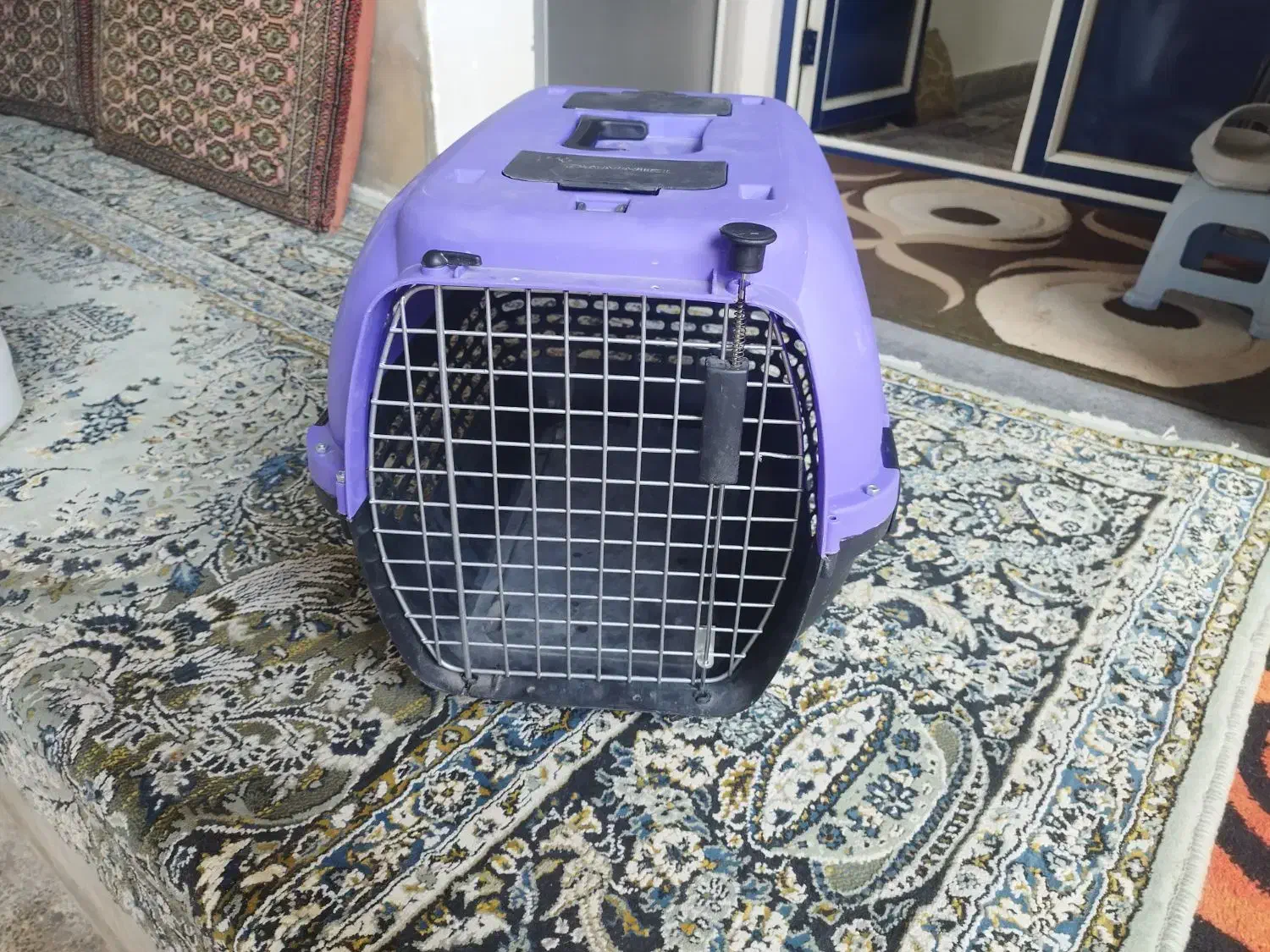 باکس سگ پامرا|لوازم جانبی حیوانات|رشت, ولکس|دیوار