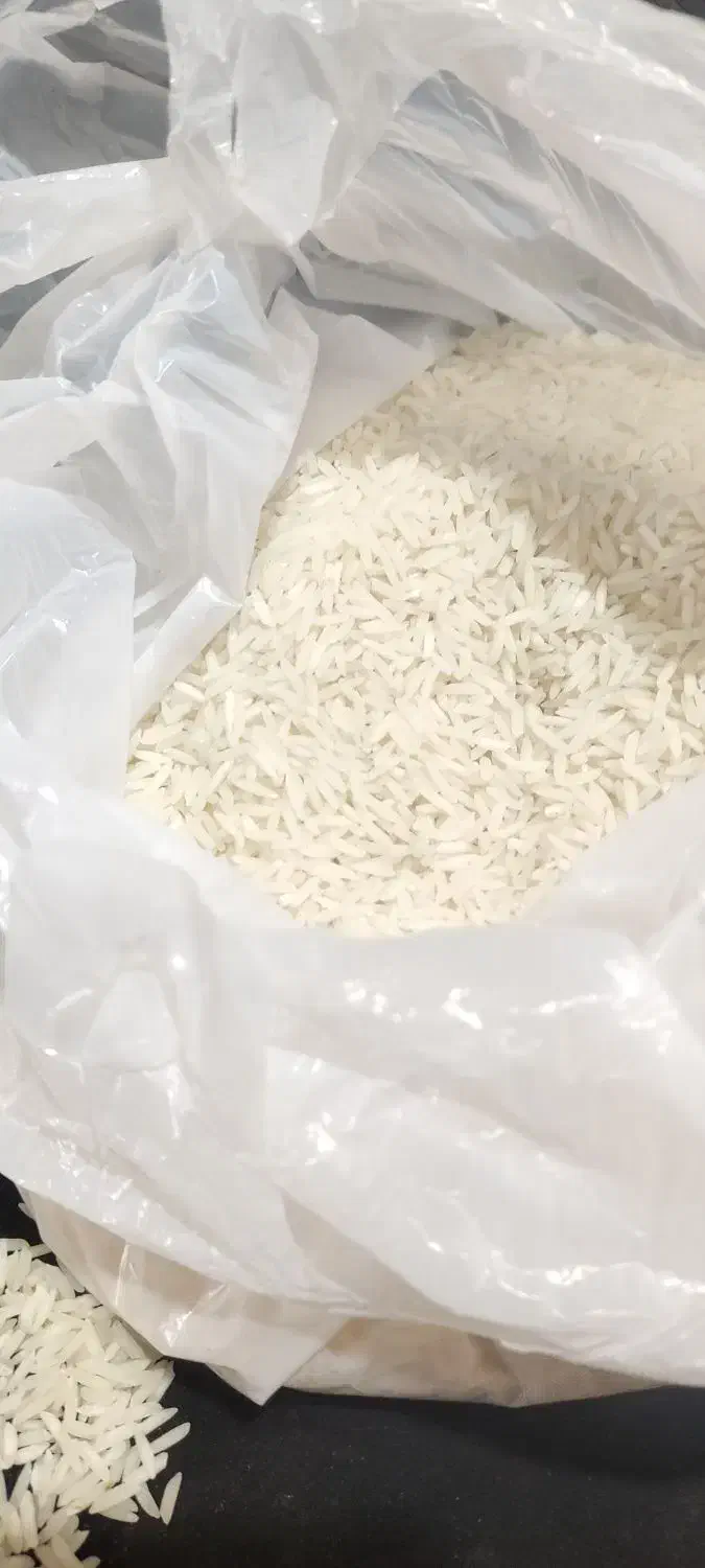 برنج شیرودی ۲تن|خوردنی و آشامیدنی|کیاکلا, |دیوار