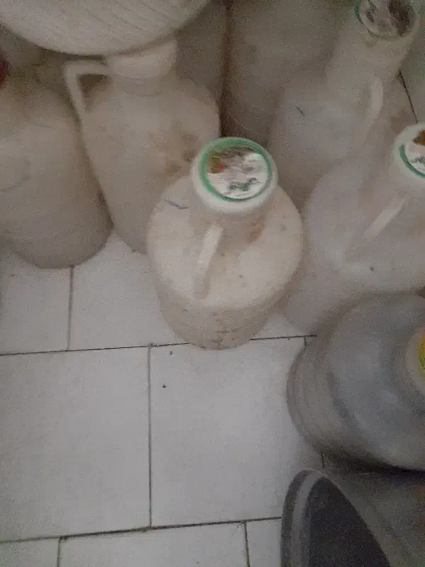 دبه خیارشور|ظروف نگهدارنده، پلاستیکی، یک‌بارمصرف|مشهد, احمدآباد|دیوار