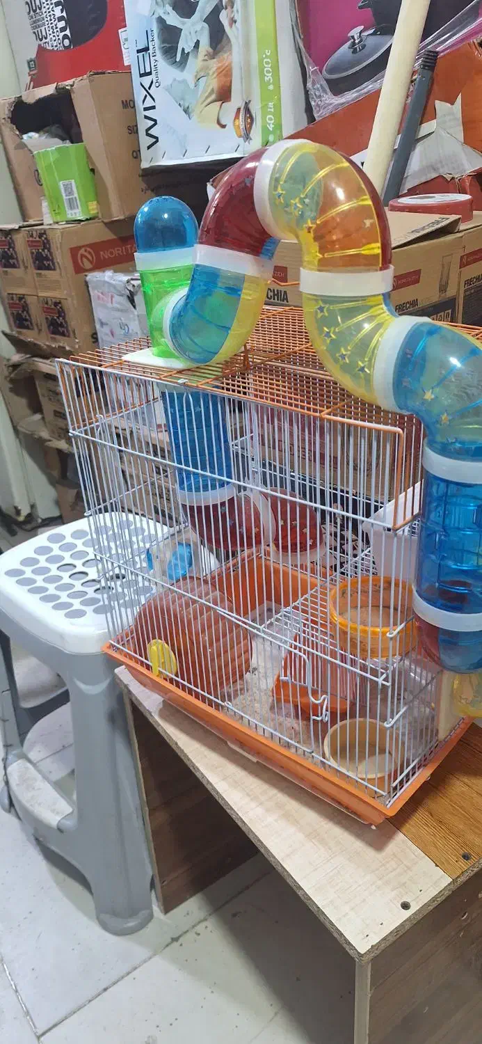 قفس|لوازم جانبی حیوانات|رشت, انصاری|دیوار