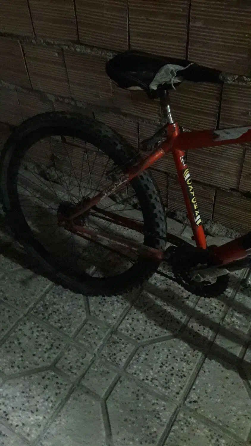 ویوا|دوچرخه، اسکیت، اسکوتر|علیآباد کتول, |دیوار