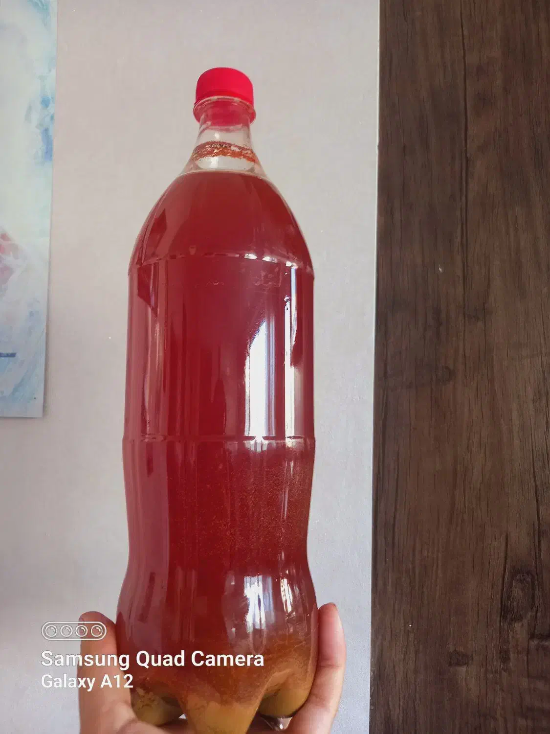 آبغوره بدون حرارت و نمک یک و نیم لیتر|خوردنی و آشامیدنی|قم, حاج زینل|دیوار