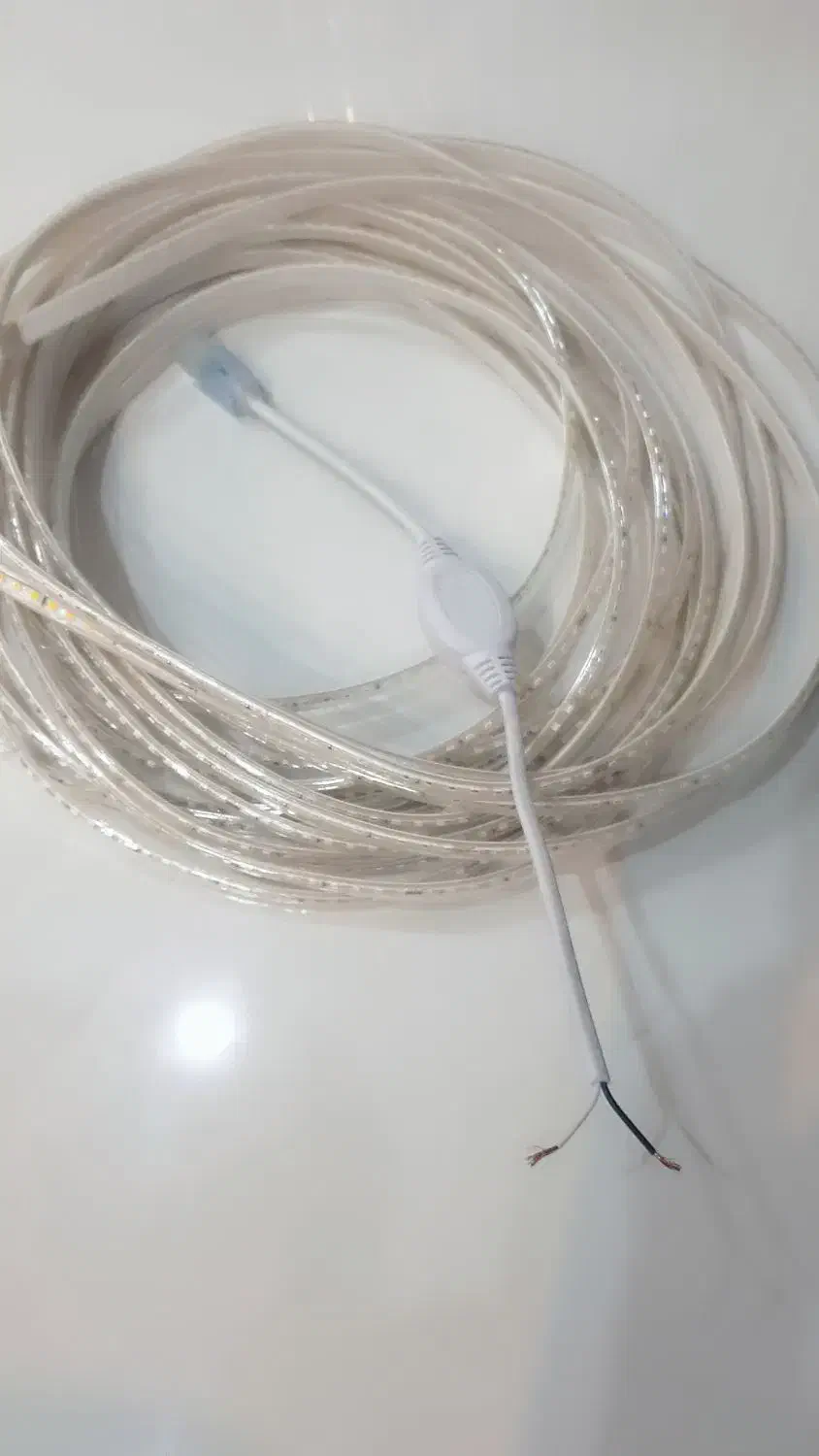 ریسه انبه ای|ریسه و چراغ تزئینی|سبزوار, شهرک جهاد|دیوار