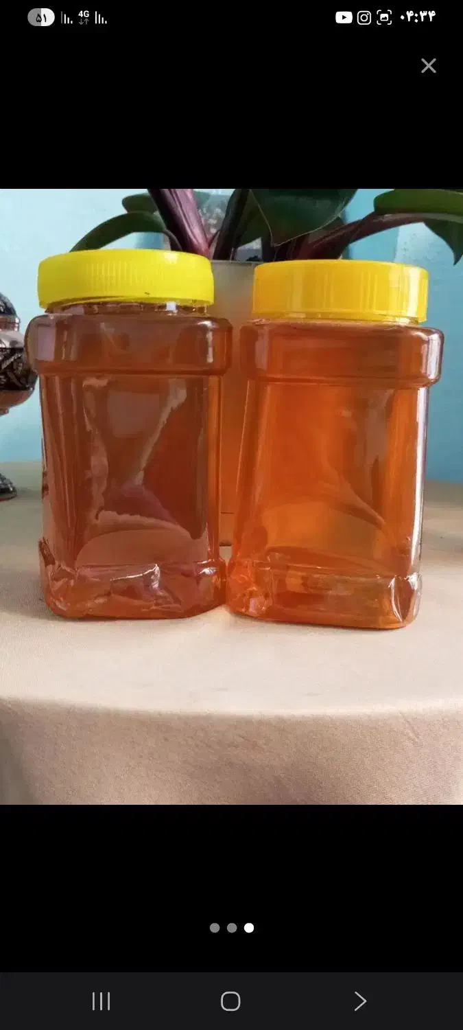 کره محلی به شرط|خوردنی و آشامیدنی|تربت‌حیدریه, اندیشه|دیوار