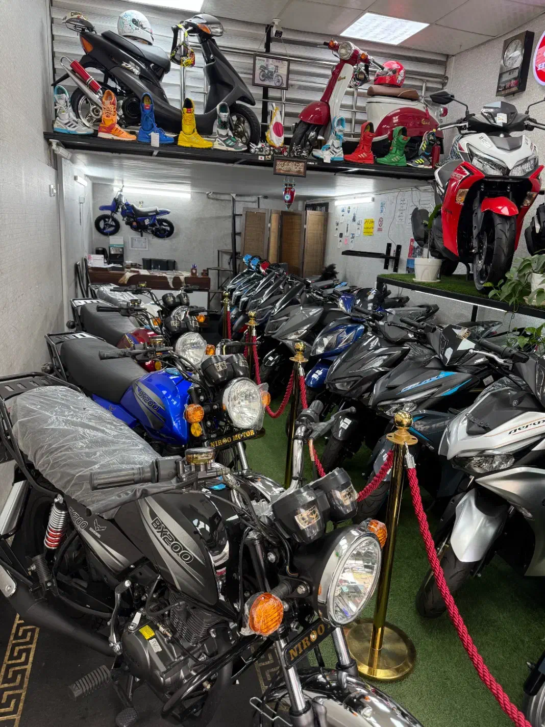 طرح باکسر bx200|موتورسیکلت|تهران, افسریه شمالی|دیوار