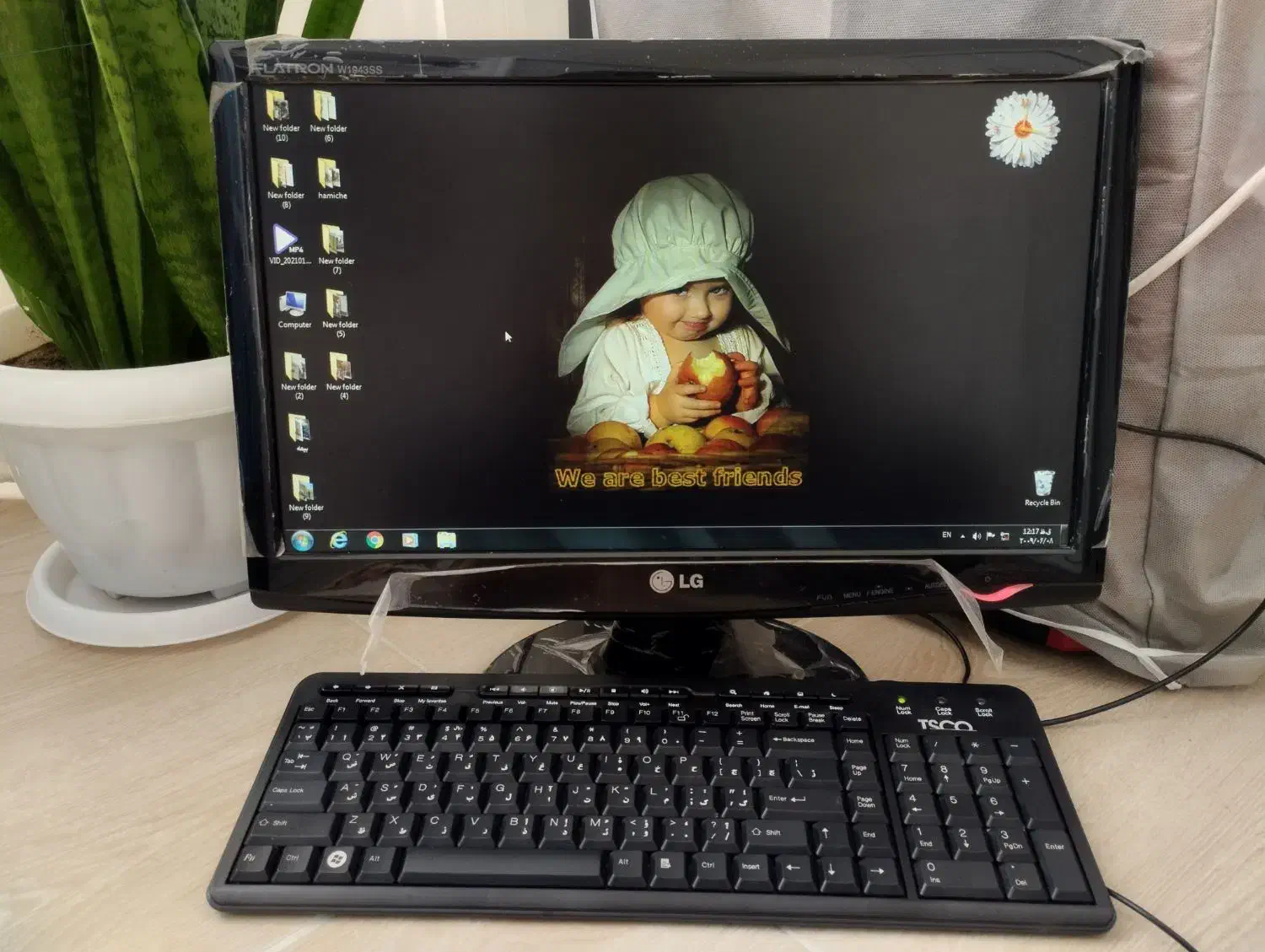 کامپیوتر|رایانه رومیزی|مهاباد (آذربایجان غربی), |دیوار