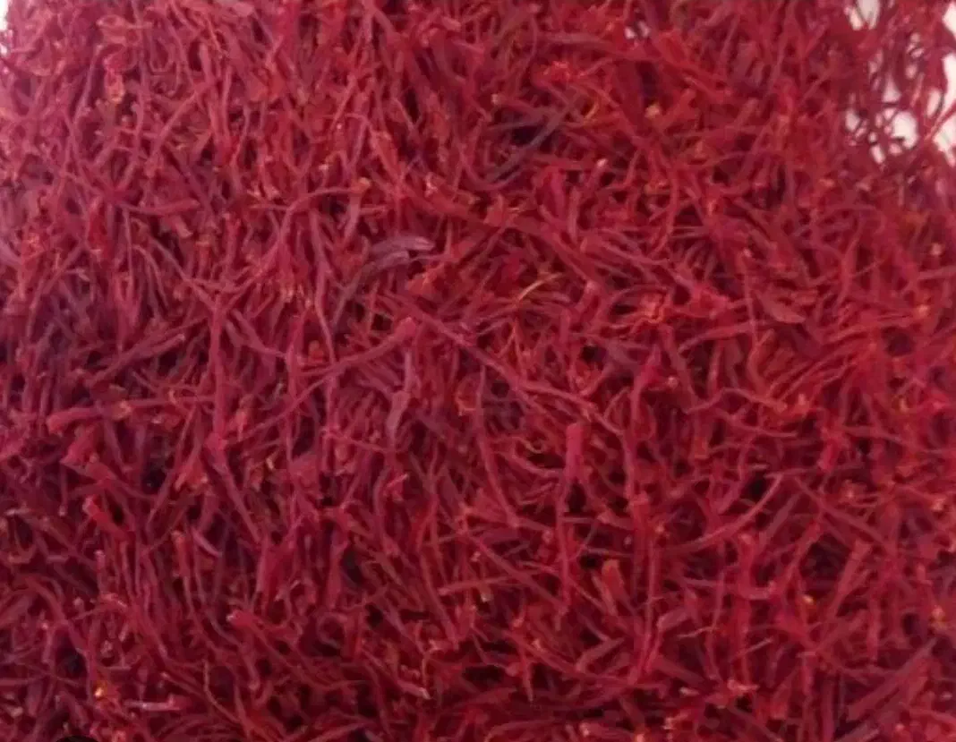 خشک کردن زعفران|خدمات پیشه و مهارت|مشهد, شهید علی محمدی|دیوار