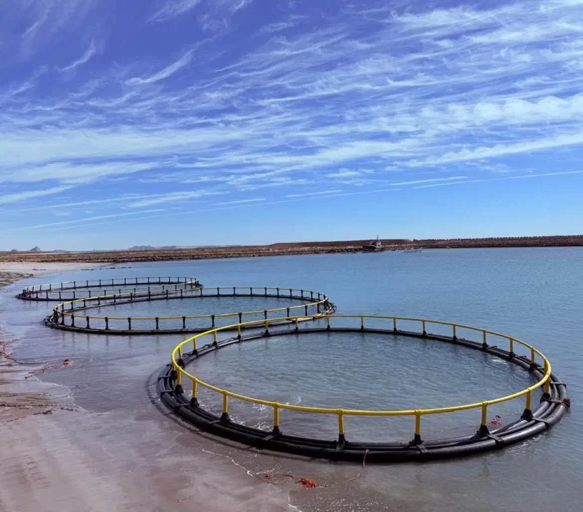 قفس پرورش ماهی|ماهی|چابهار, |دیوار