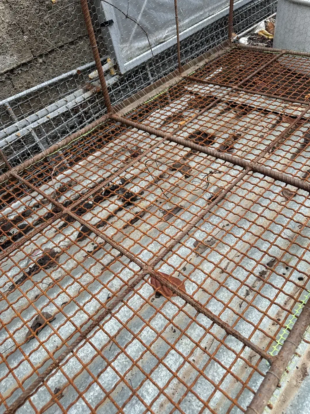 قفس جوجه|لوازم جانبی حیوانات|ساری, |دیوار