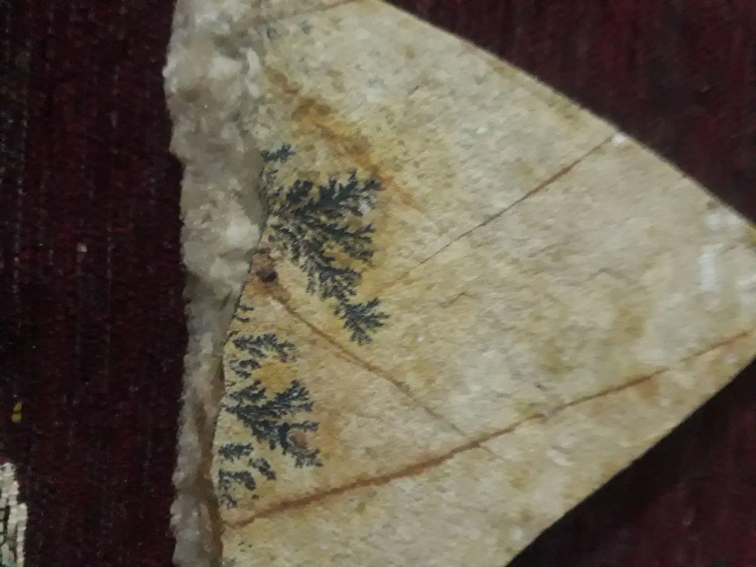 سنگ شجر|جواهرات|کلاشی, |دیوار