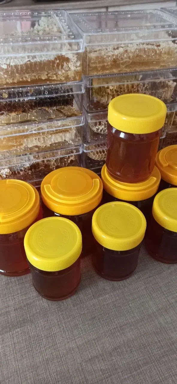 وسیله شخصی|آرایشی، بهداشتی، درمانی|فردیس, شهرک شهید حسینی|دیوار