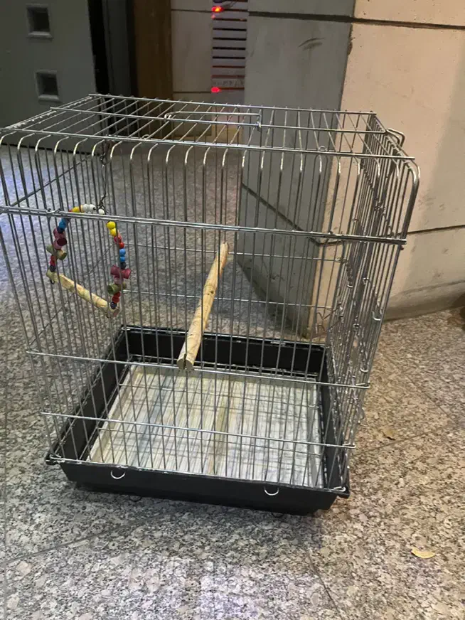 قفس پرنده|لوازم جانبی حیوانات|شیراز, شهرک ولیعصر|دیوار