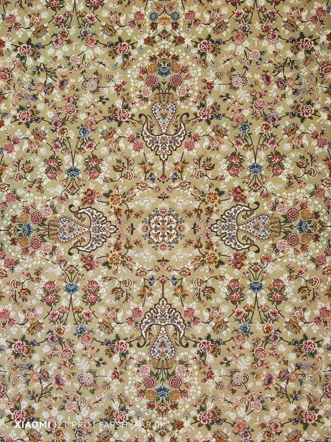 فرش۶متری/تراکم ۳۶۰۰/تمام نخ اصل/برند معتبر/کاشان|فرش|بیجار, |دیوار