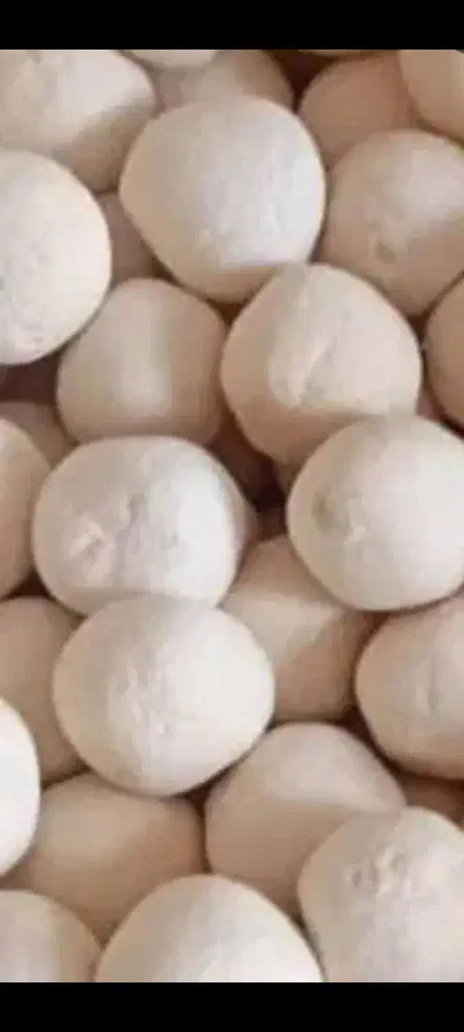 کشک|خوردنی و آشامیدنی|کازرون, |دیوار