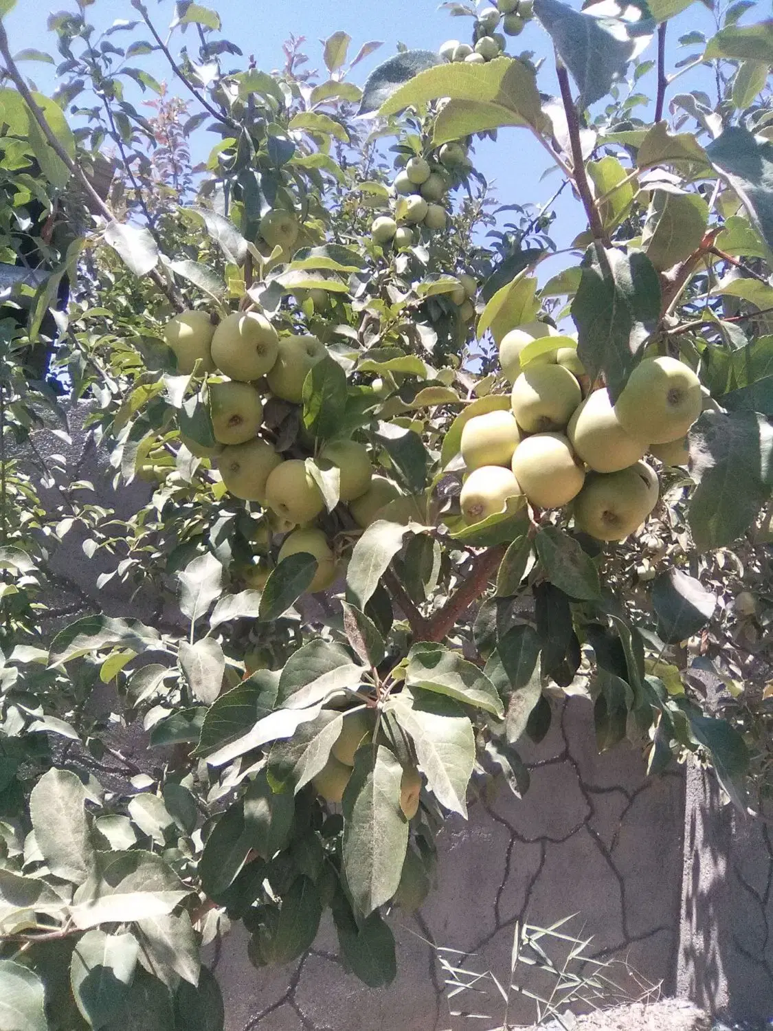تصویر 6