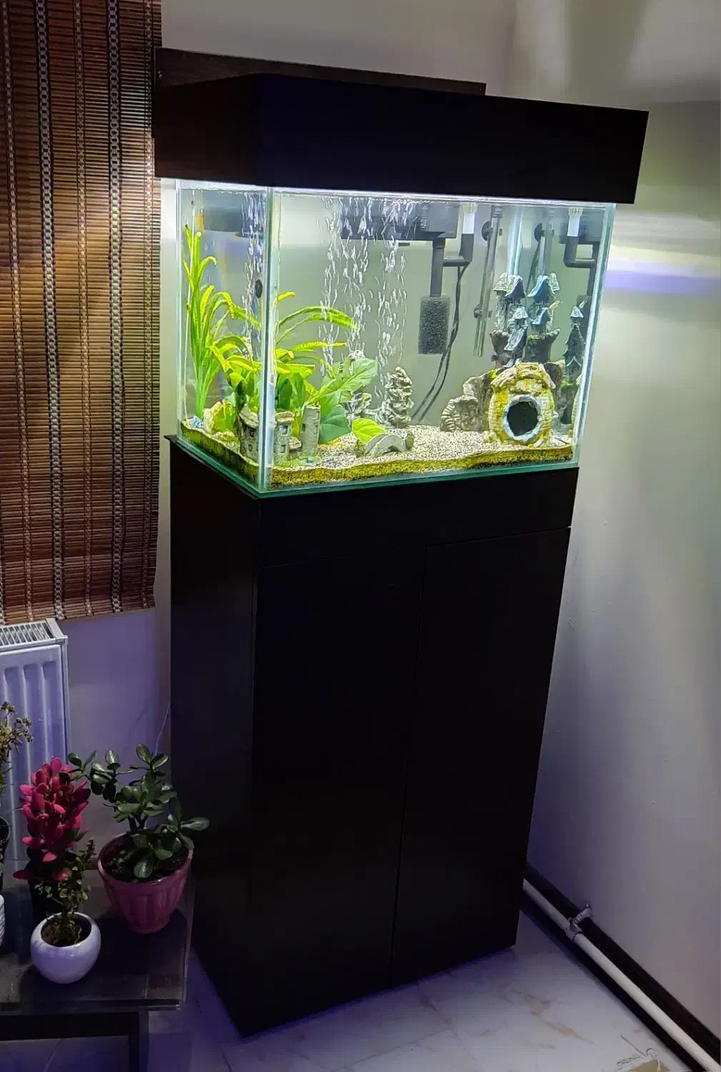 آکواریوم بهمراه لوازم کامل|ماهی|پردیس, فاز ۹|دیوار