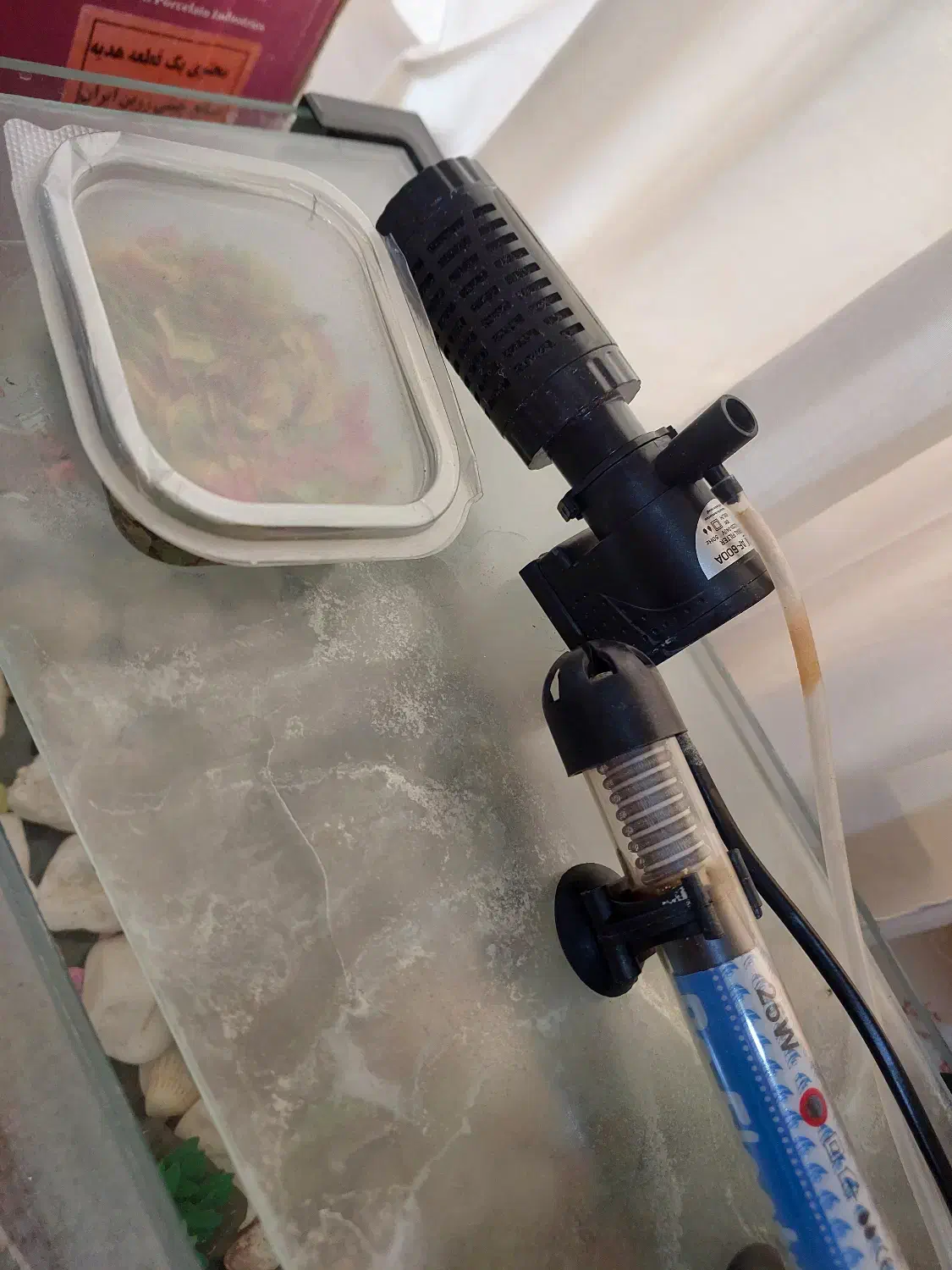 آکواریوم شیشه خم ۲۵×۴۰|ماهی|اردبیل, |دیوار