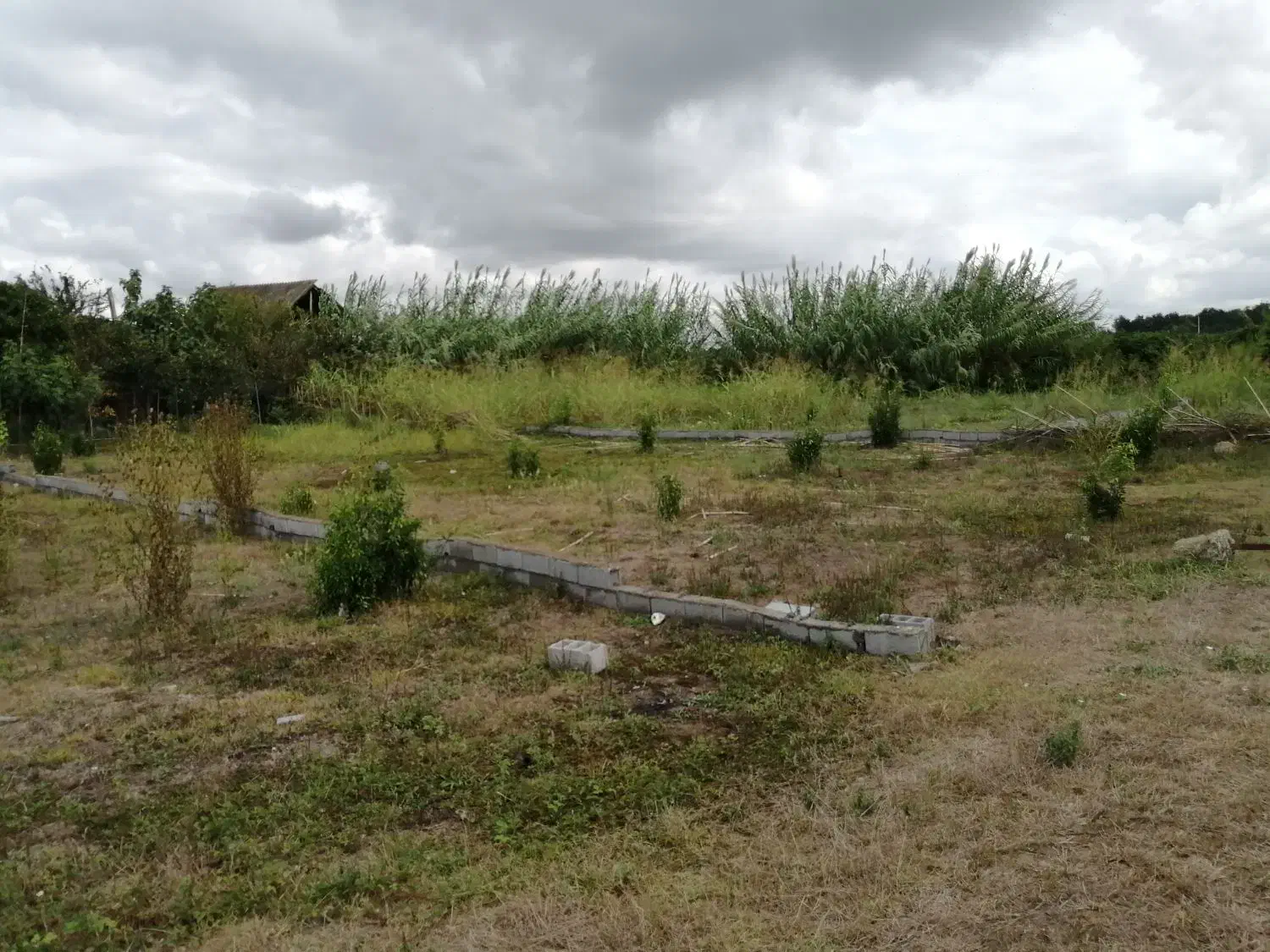 328 متر مربع زمین مسکونی در شمال|فروش زمین و ملک کلنگی|قائمشهر, |دیوار