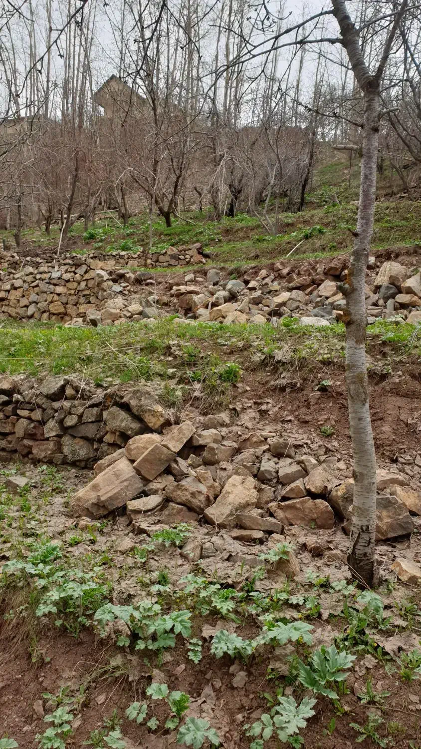 زمین 300 متر قابل ساخت ویو دار دنج دربندسر فشم|فروش زمین و ملک کلنگی|شمشک, |دیوار