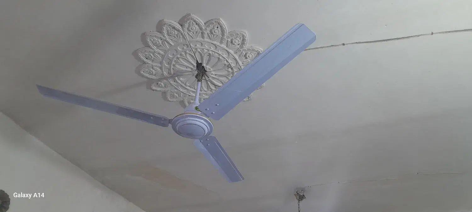 پنکه سقفی نوداخل کارتن|پنکه و تصفیهکنندهٔ هوا|برازجان, |دیوار