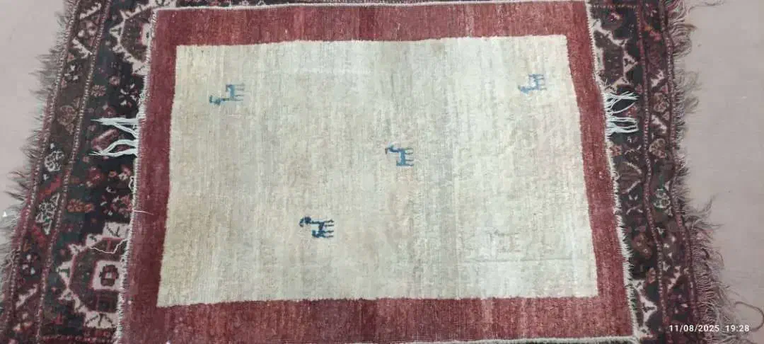 فرش دستباف|فرش|شیراز, کوشک میدان|دیوار