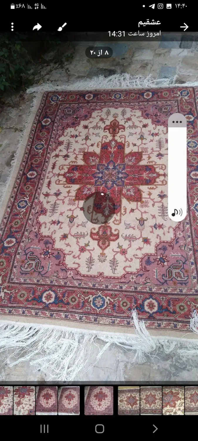 فرش دستباف مسند وذرین|فرش|اردبیل, |دیوار