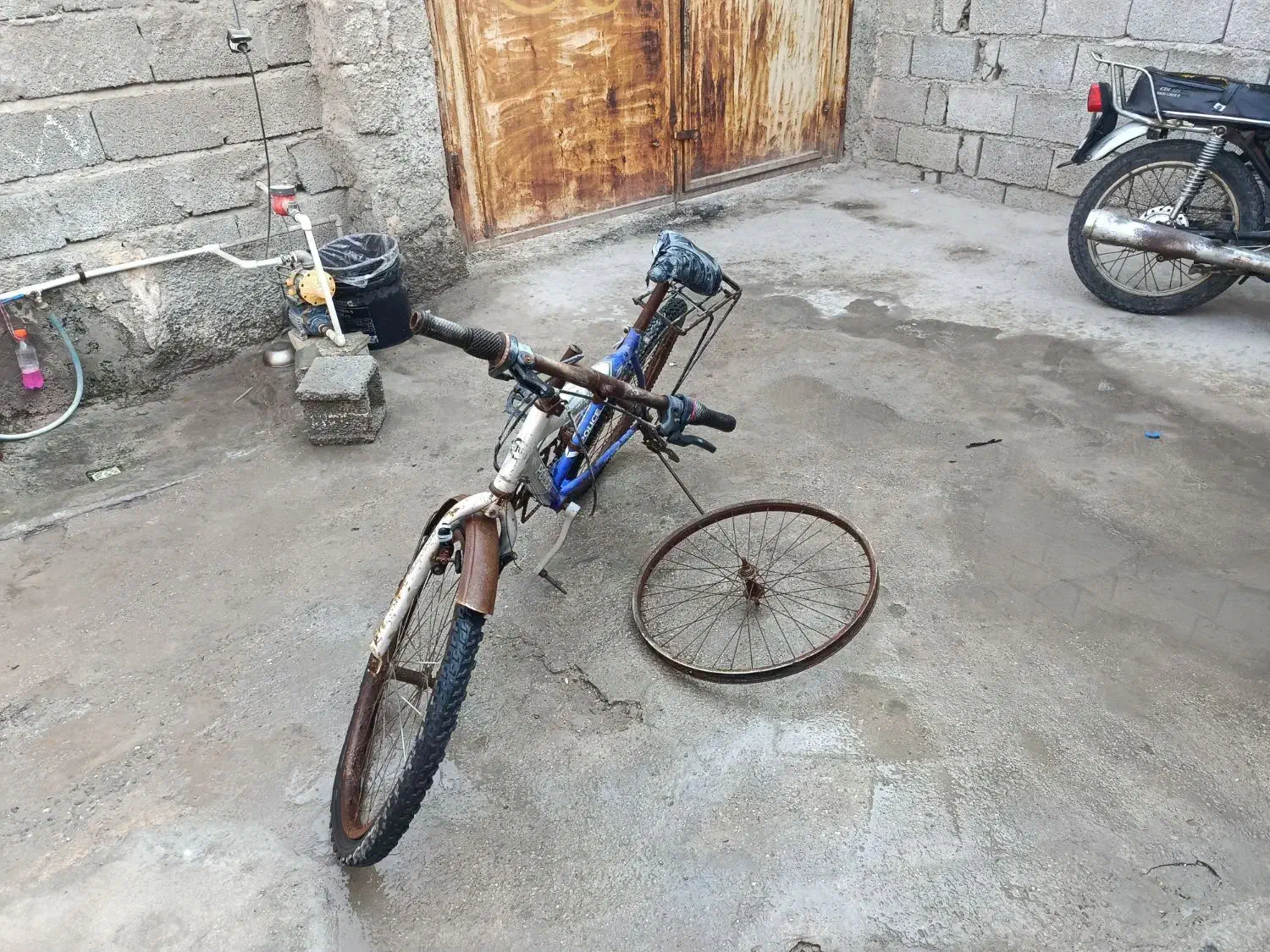 دوچرخه 24|دوچرخه، اسکیت، اسکوتر|بندرعباس, |دیوار