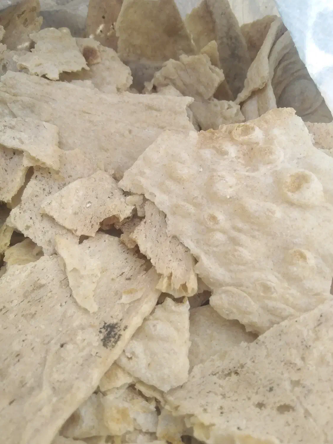 نون خشک|خوردنی و آشامیدنی|سبزوار, باهنر|دیوار