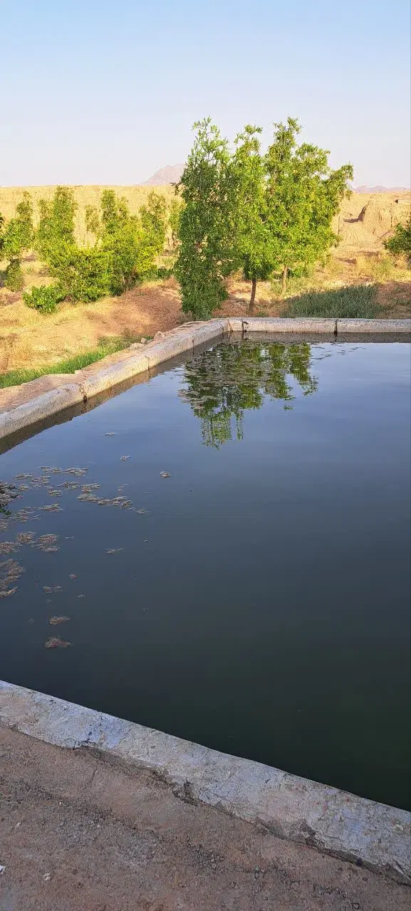 تصویر 10