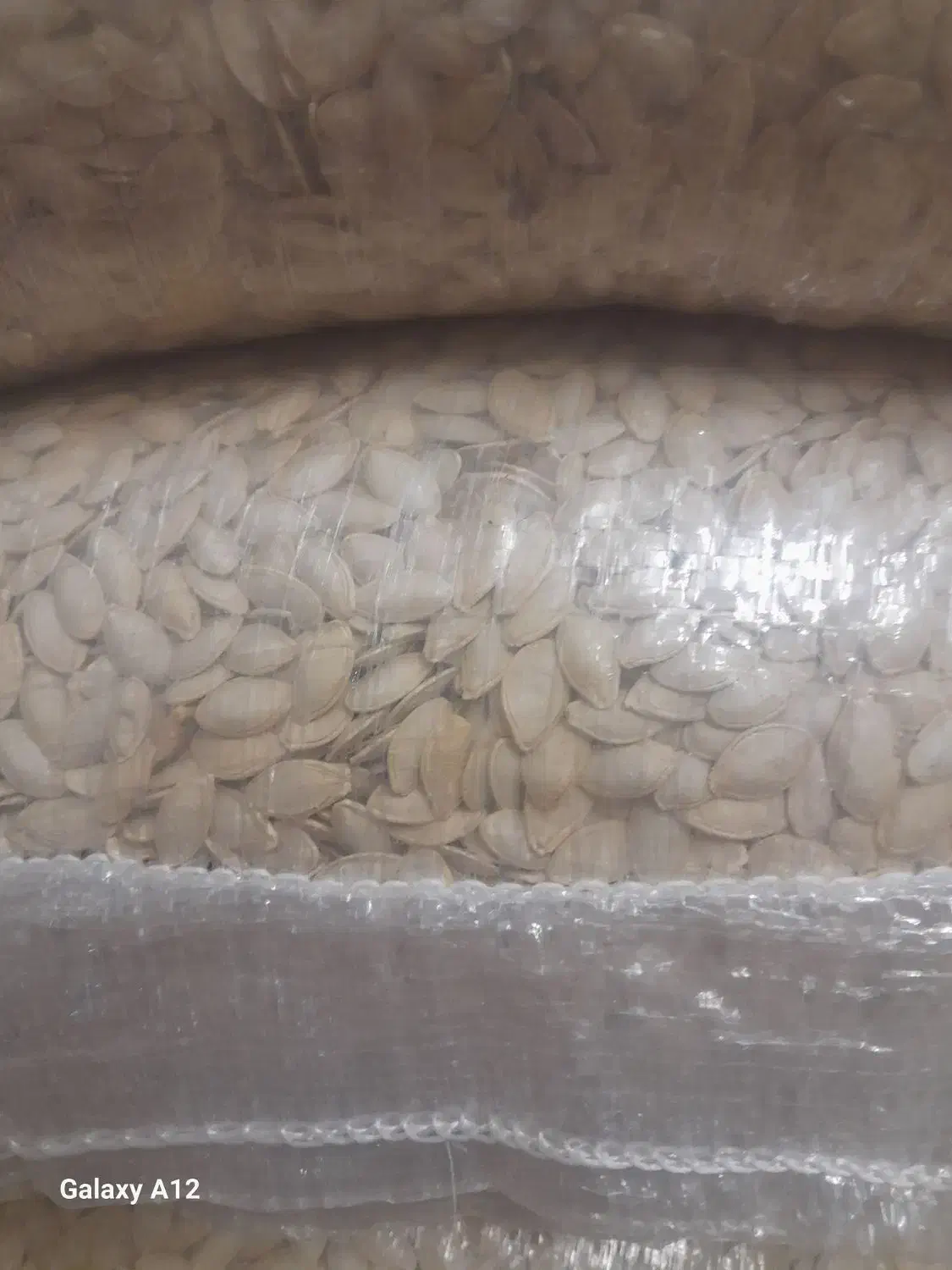 فروش کدو تخمی|عمده‌فروشی|آباده, |دیوار