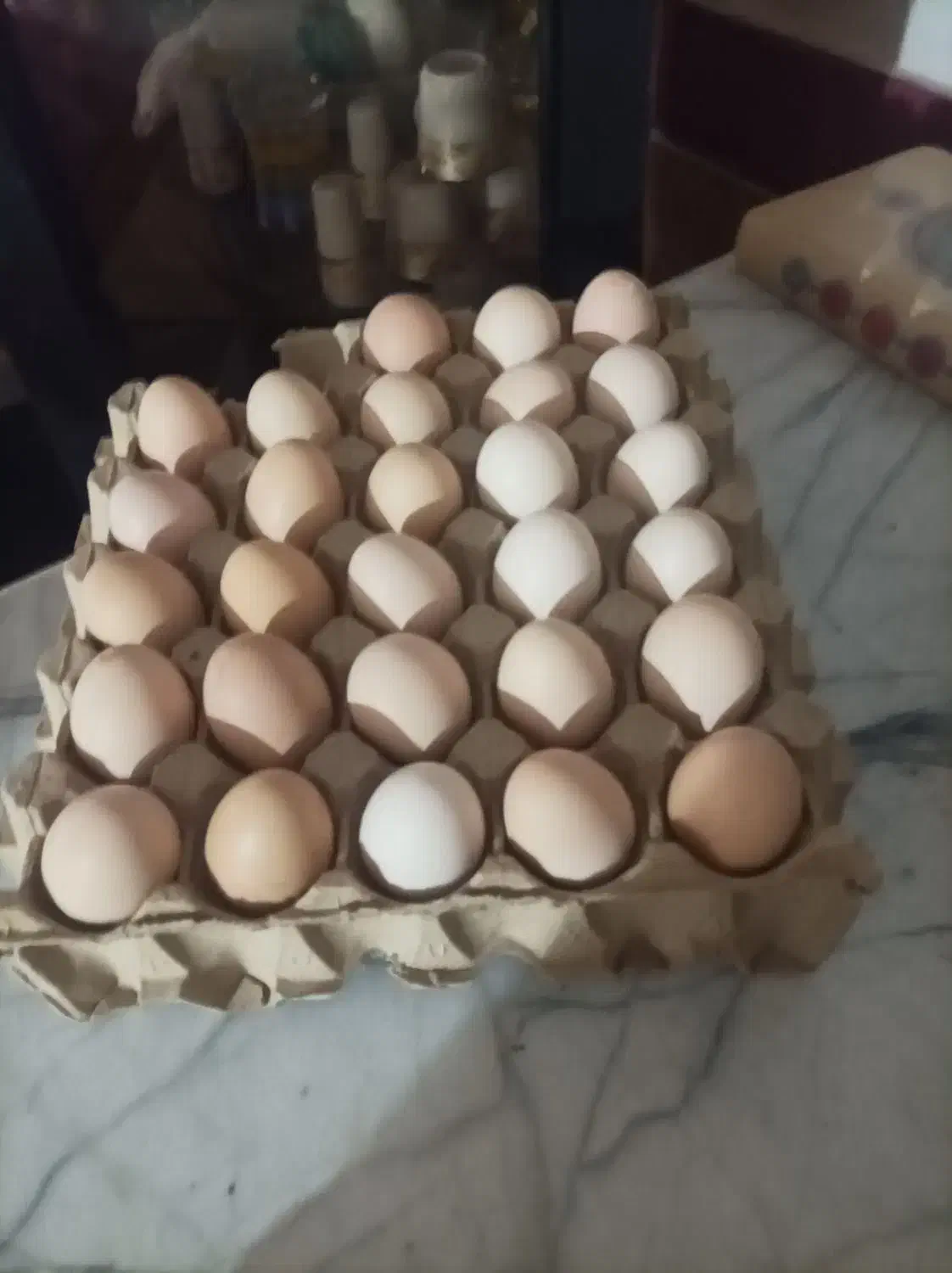 تخم مرغ محلی نطفه دار تعداد بالا|حیوانات مزرعه|رامیان, |دیوار