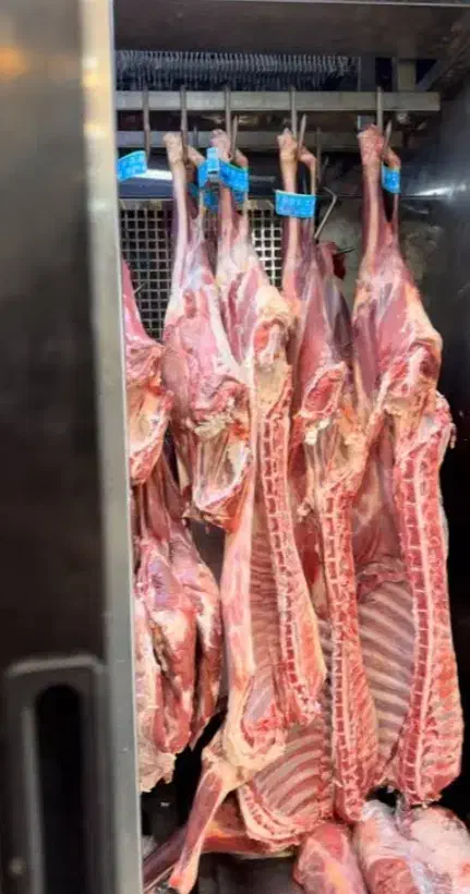 گوشت بره و میش تازه کشتار روز به قیمت عمده|خوردنی و آشامیدنی|تربت جام, بیست متری منبع آب|دیوار