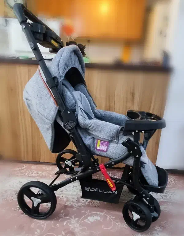 کالسکه دلیجان مدل بنیتا|کالسکه و لوازم جانبی|پرند, فاز ۵|دیوار