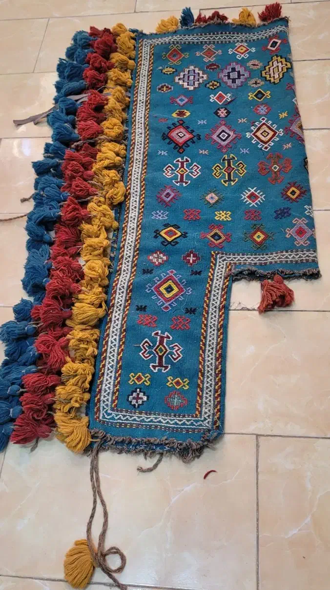 جل اسب|اسب و تجهیزات اسبسواری|اصفهان, براآن شمالی|دیوار