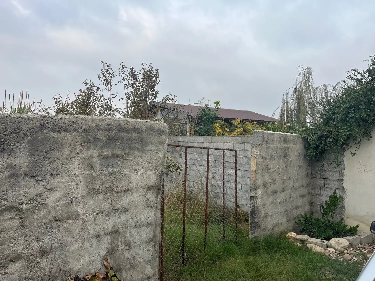 شمال سیمرغ کیاکلا|فروش زمین و ملک کلنگی|قائمشهر, |دیوار