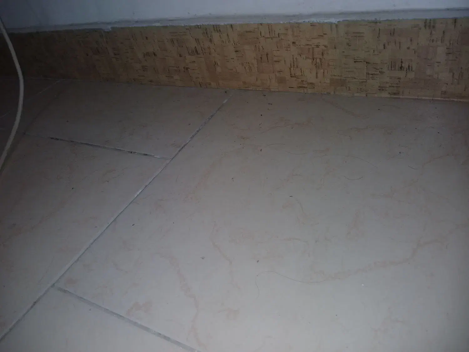 کاشی کاری و سرامیک|خدمات پیشه و مهارت|خمام, |دیوار