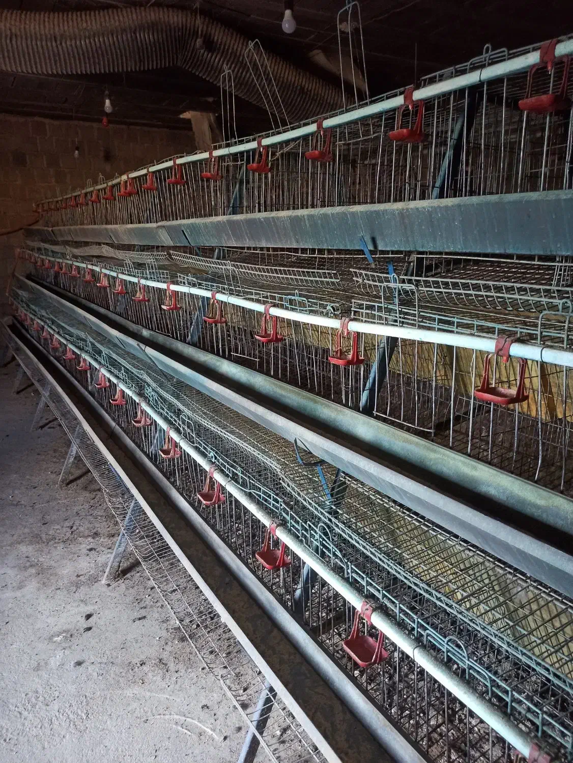 فروش قفس منبری مرغ تخمگذار|لوازم جانبی حیوانات|شاهین دژ, |دیوار