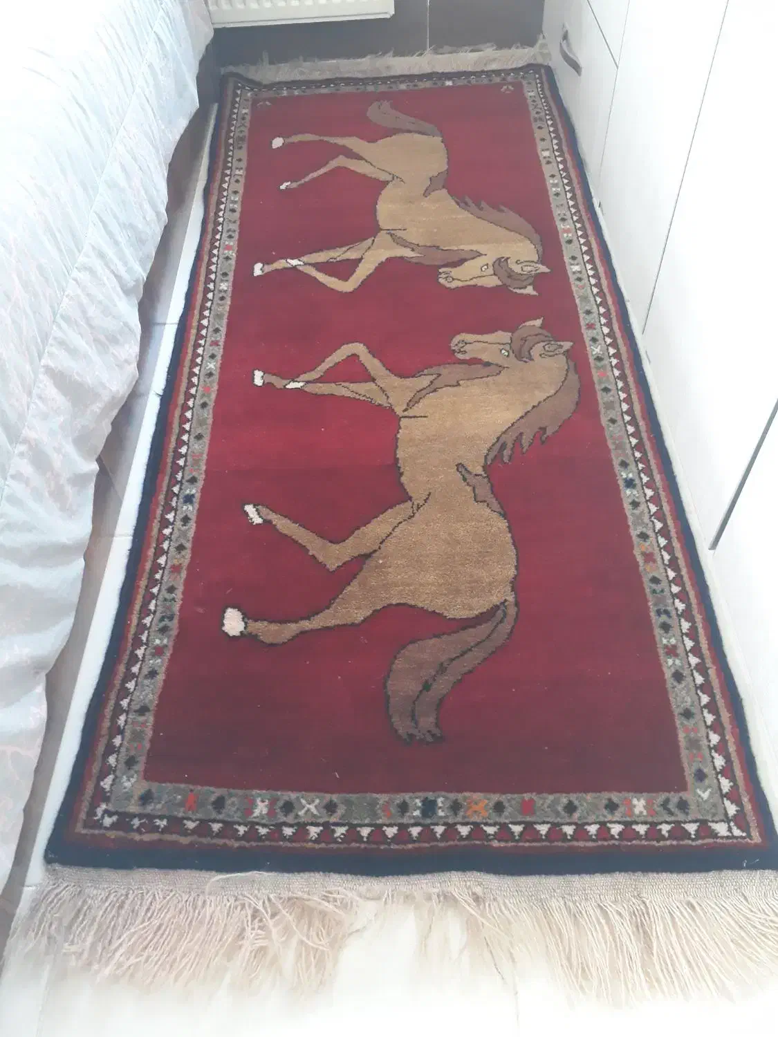 فرش دستبافت پشم در پشم|فرش|رامسر, |دیوار