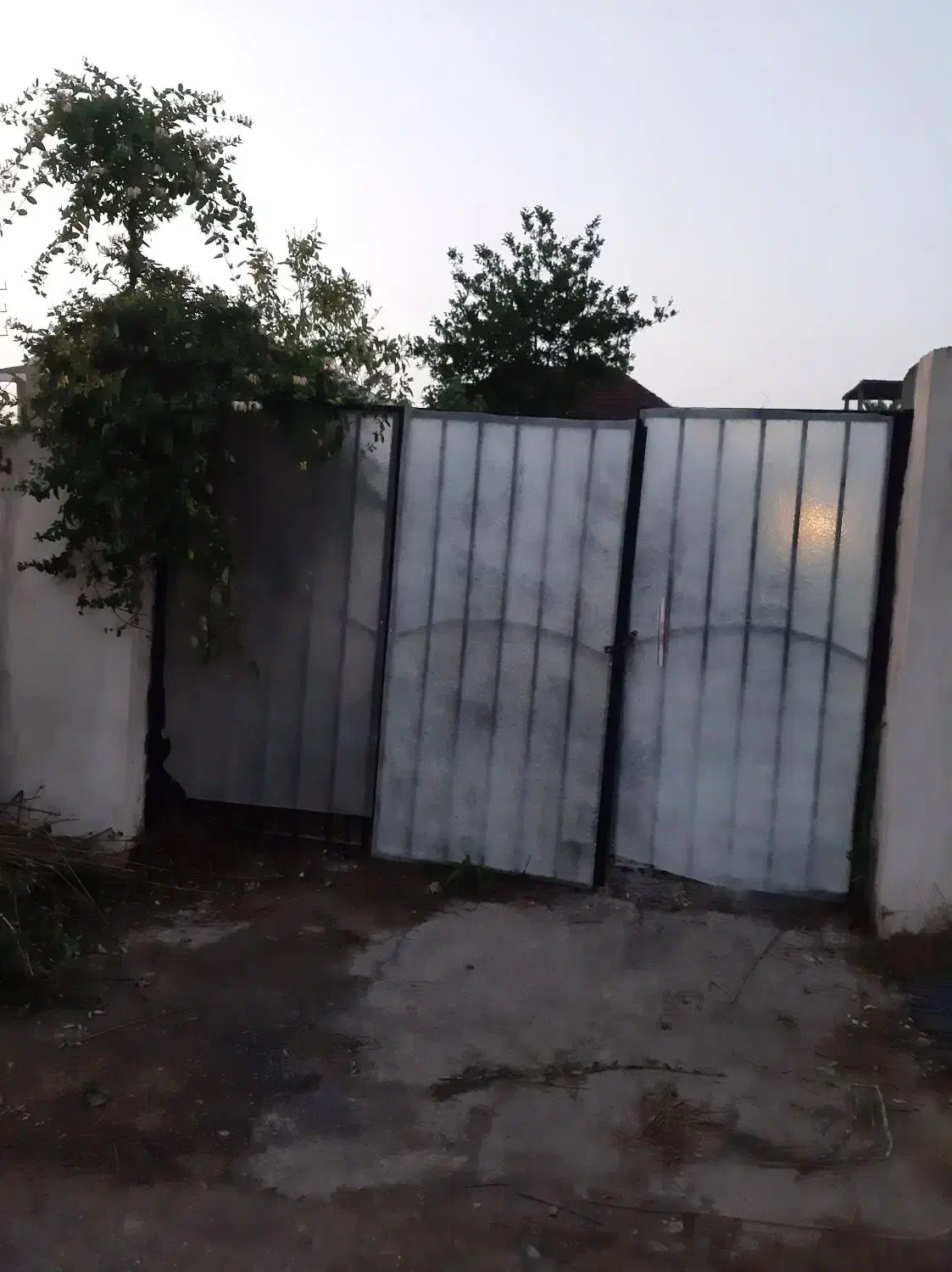 درب باغی|مصالح و تجهیزات ساختمان|هچیرود, |دیوار