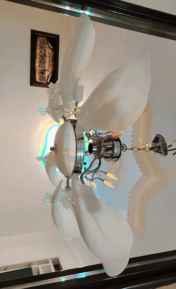 لوستر|لوستر و چراغ آویز|تربت‌حیدریه, پائین ولایت|دیوار