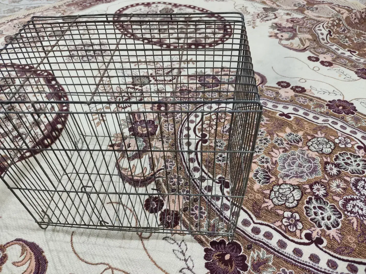 قفس|لوازم جانبی حیوانات|قروه, |دیوار