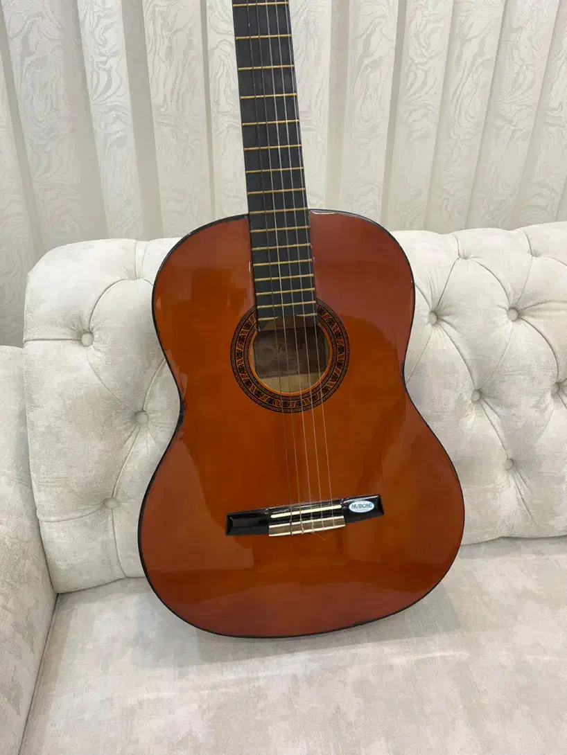 گیتار کلاسیک والنسیا گالری موسیقی آرتیاپاساژشهرسبز|گیتار، بیس، امپلیفایر|لاهیجان, انقلاب|دیوار