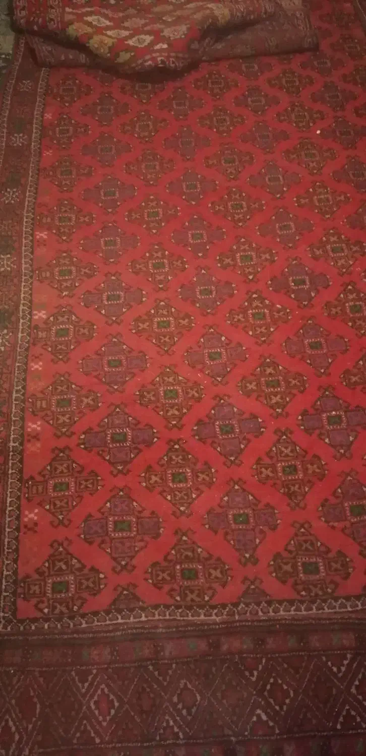 فرش قدیمی|فرش|قزوین, |دیوار