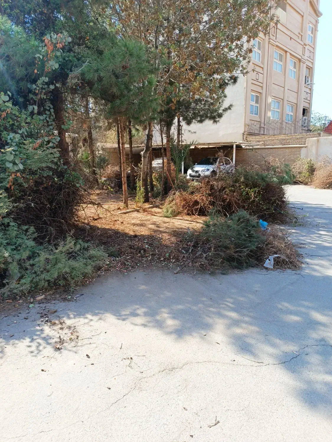 باغبانی|خدمات باغبانی و درختکاری|قم, هنرستان|دیوار