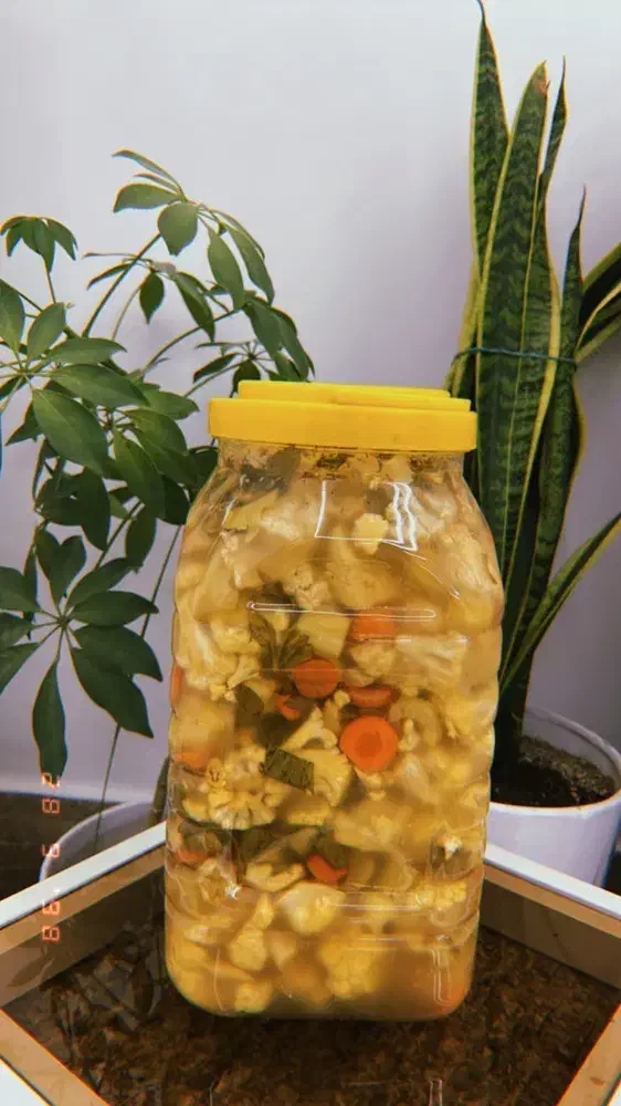 ترشیجات ارگانیک کوهیار|عمدهفروشی|سبزوار, خسروجرد|دیوار