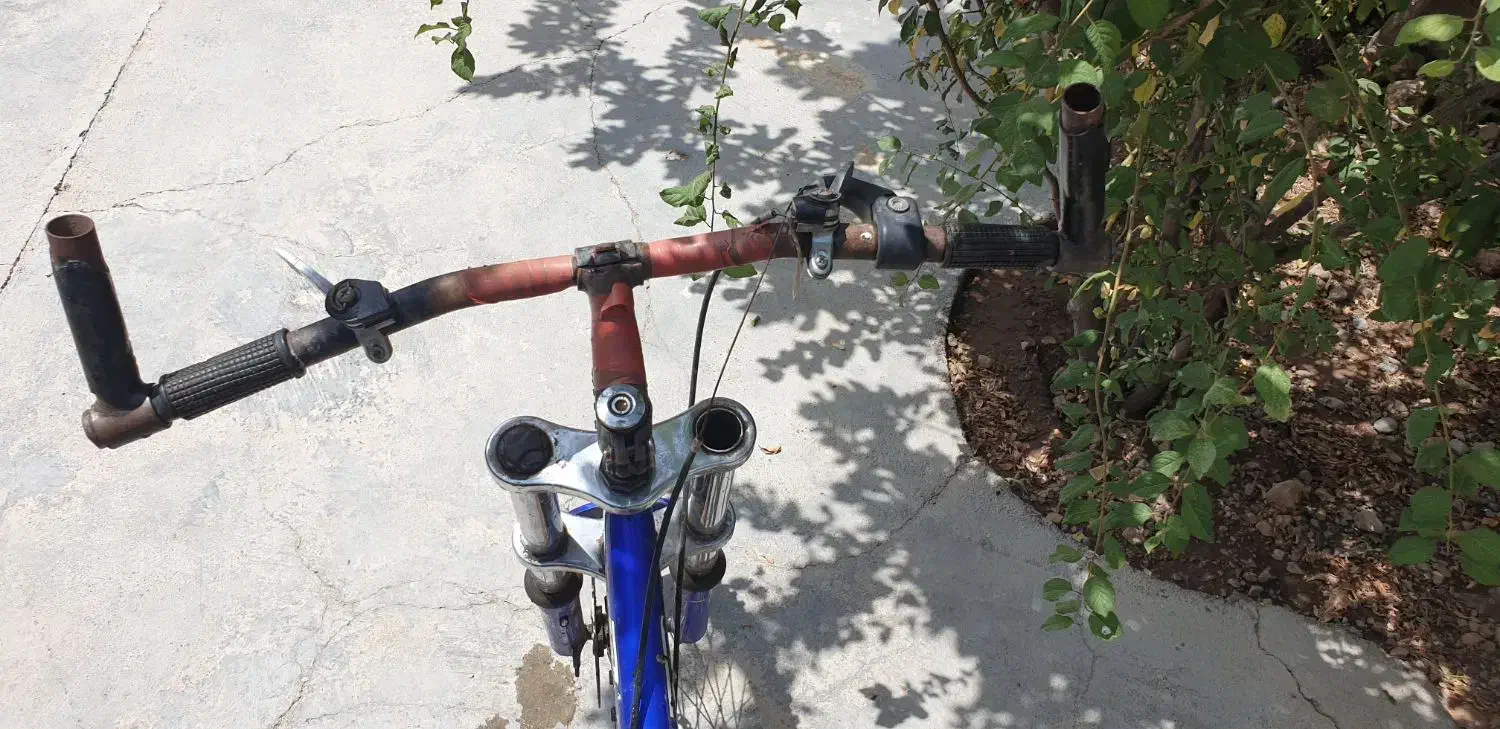 دوچرخه ۲۴ تنه بلند|دوچرخه، اسکیت، اسکوتر|الشتر, |دیوار