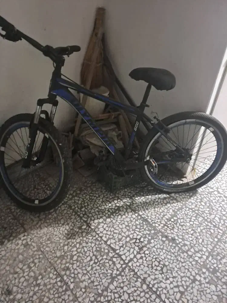 دوچرخه|دوچرخه، اسکیت، اسکوتر|رشت, رشتیان|دیوار