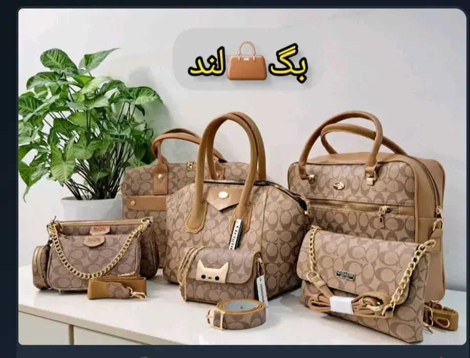 کیف|کیف، کفش، کمربند|قم, دانش|دیوار