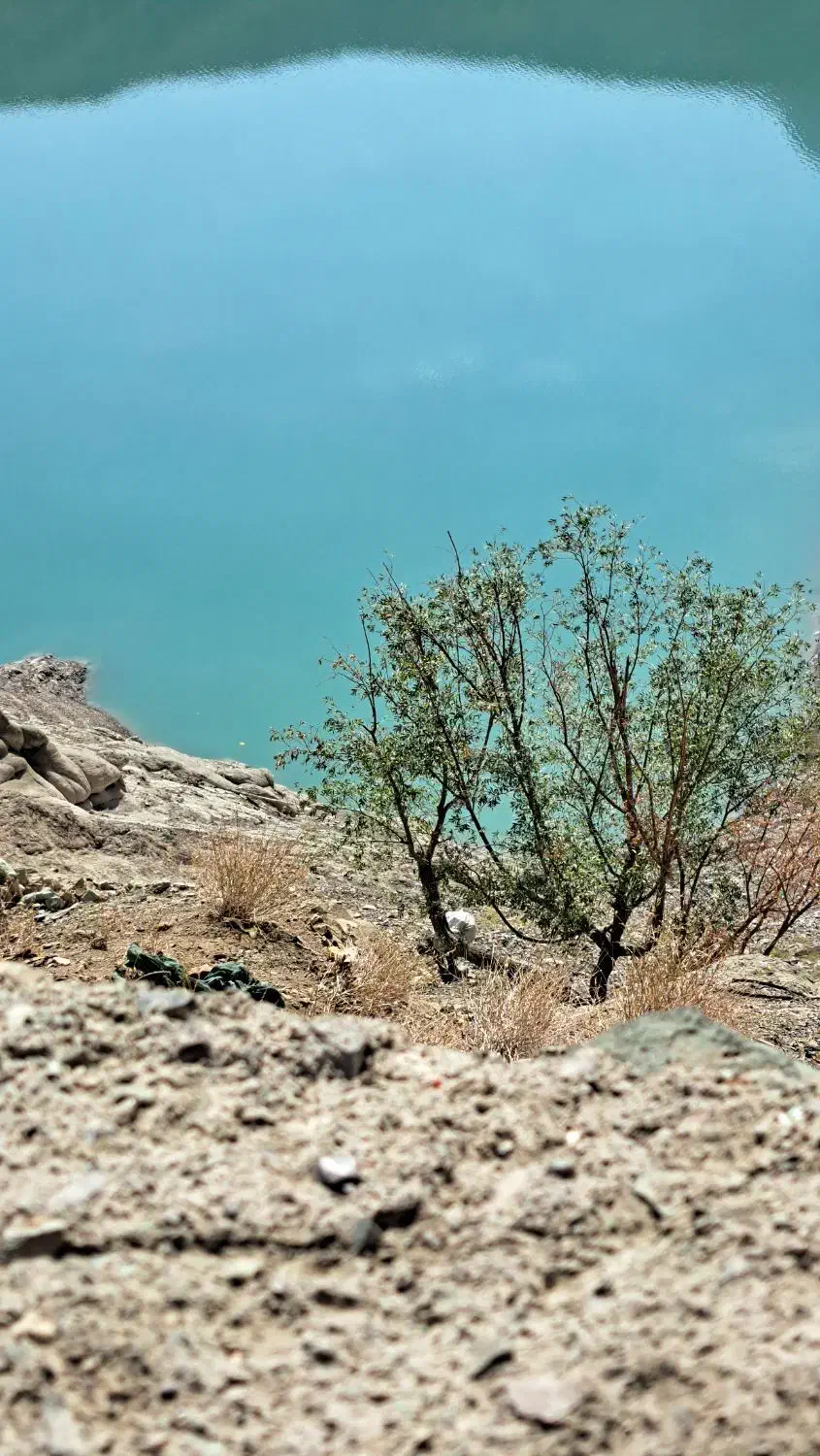 راهنمایی|فعالیت داوطلبانه|قم, شاه ابراهیم|دیوار