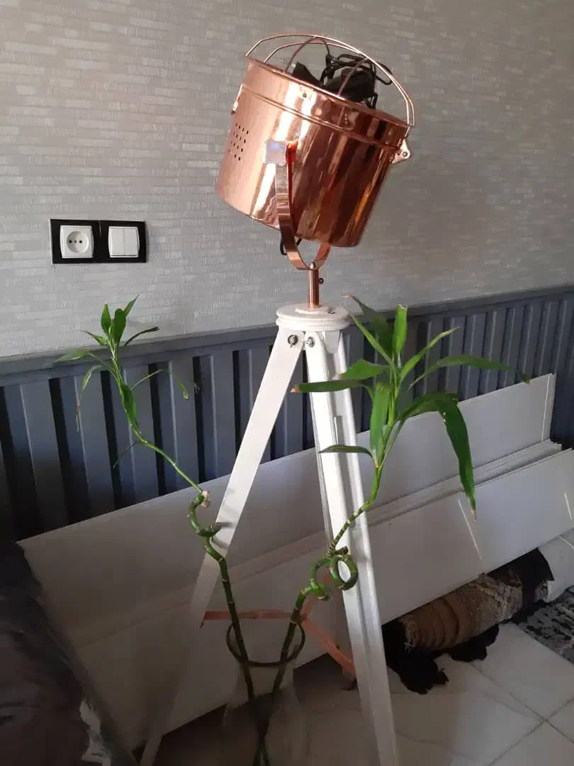 آباژور ایستاده کنار مبلی|چراغ خواب و آباژور|چمران, |دیوار